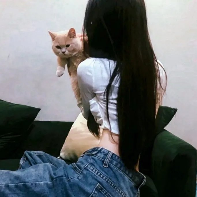肥猫斗小强电影版 海报