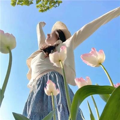 醉拳无敌 海报